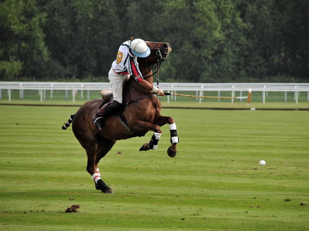 Miami Beach Polo World Cup: lujo y caballos sobre la arena